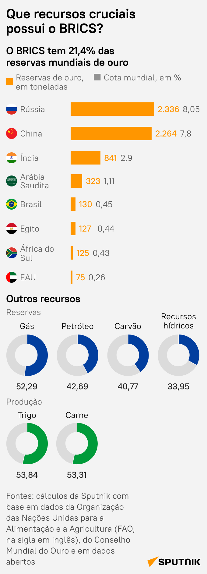 Confira quais são os recursos mais importantes que o BRICS possui - Sputnik Brasil