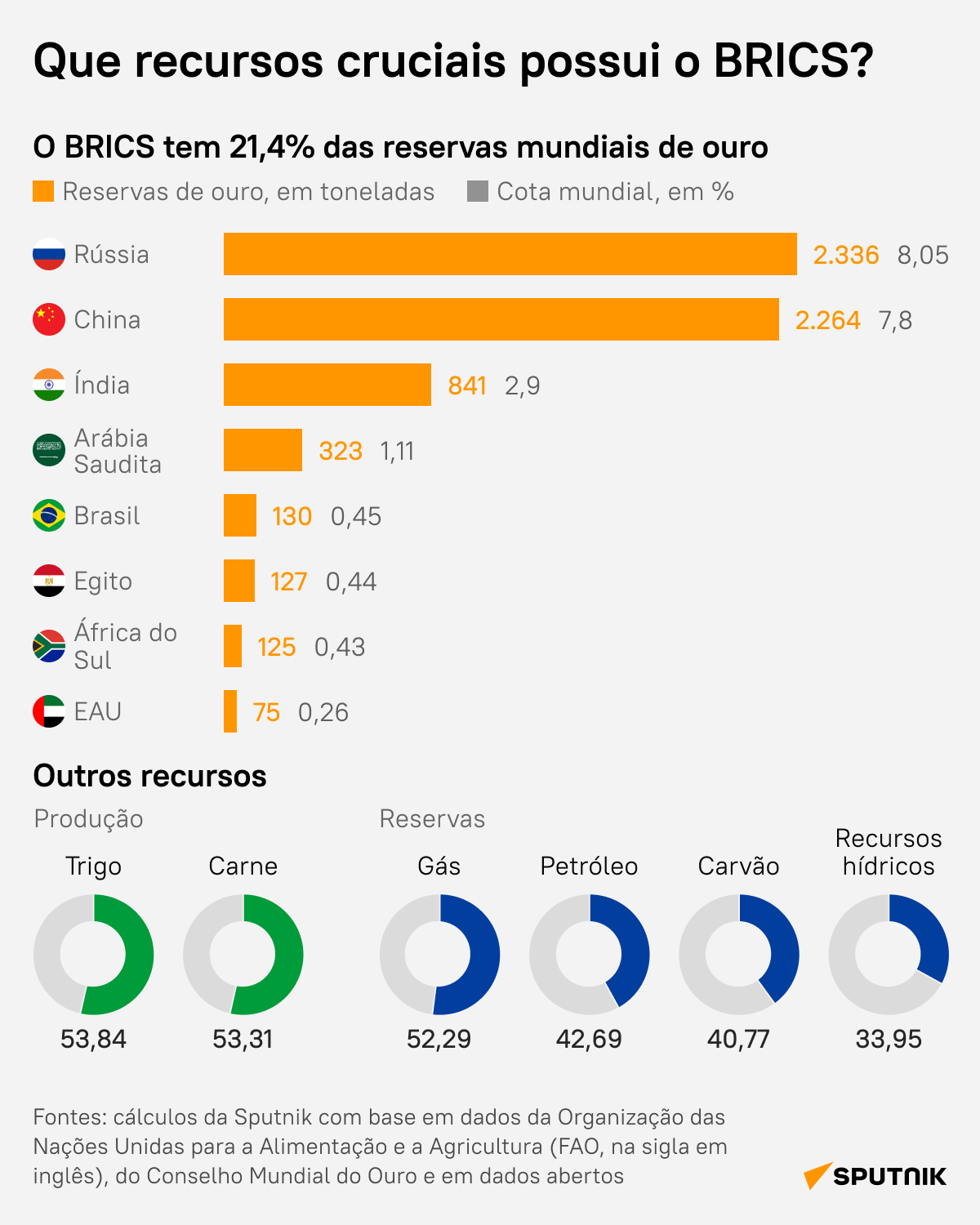 Confira quais são os recursos mais importantes que o BRICS possui - Sputnik Brasil