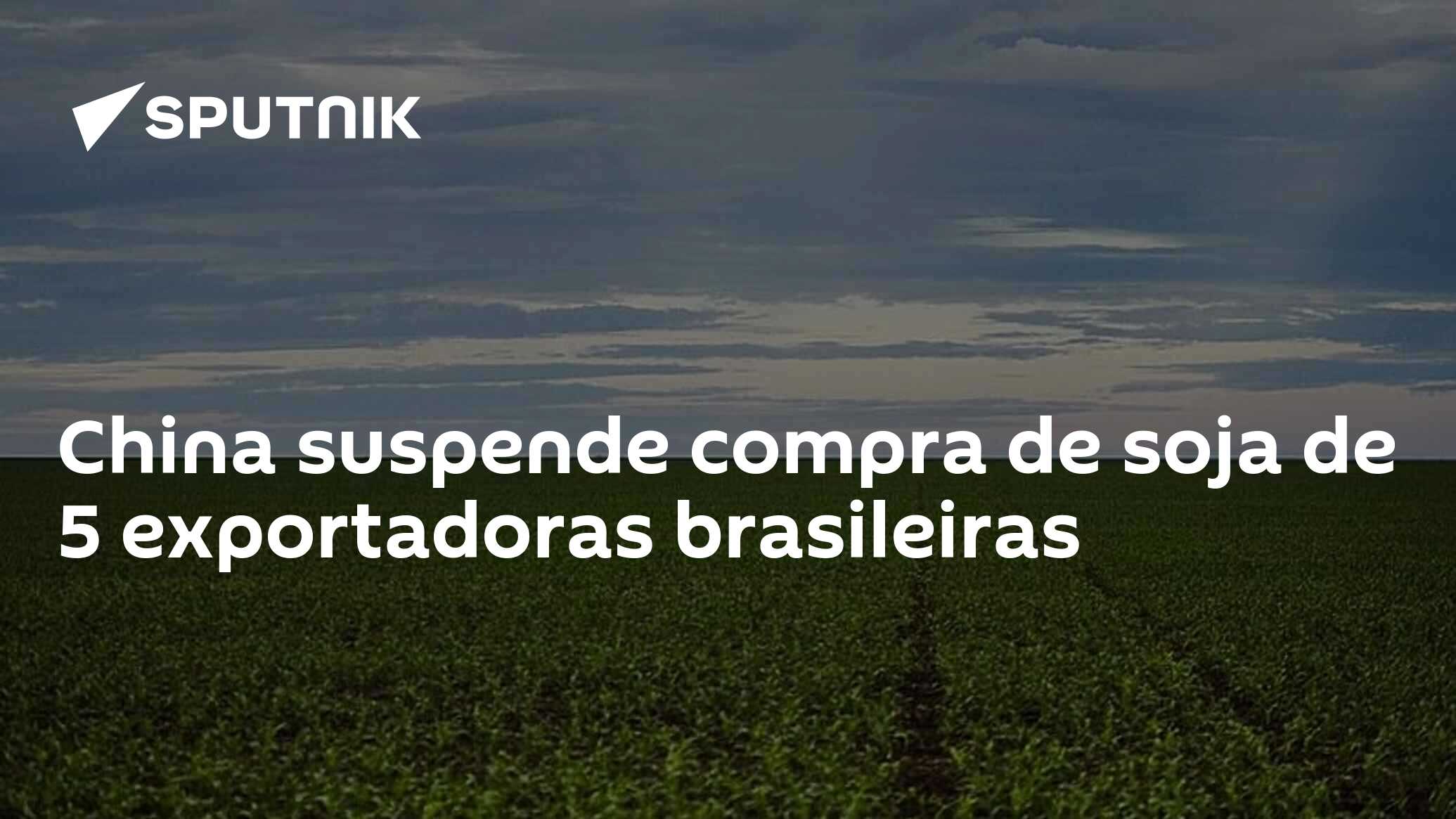 China suspende compra de soja de 5 exportadoras brasileiras