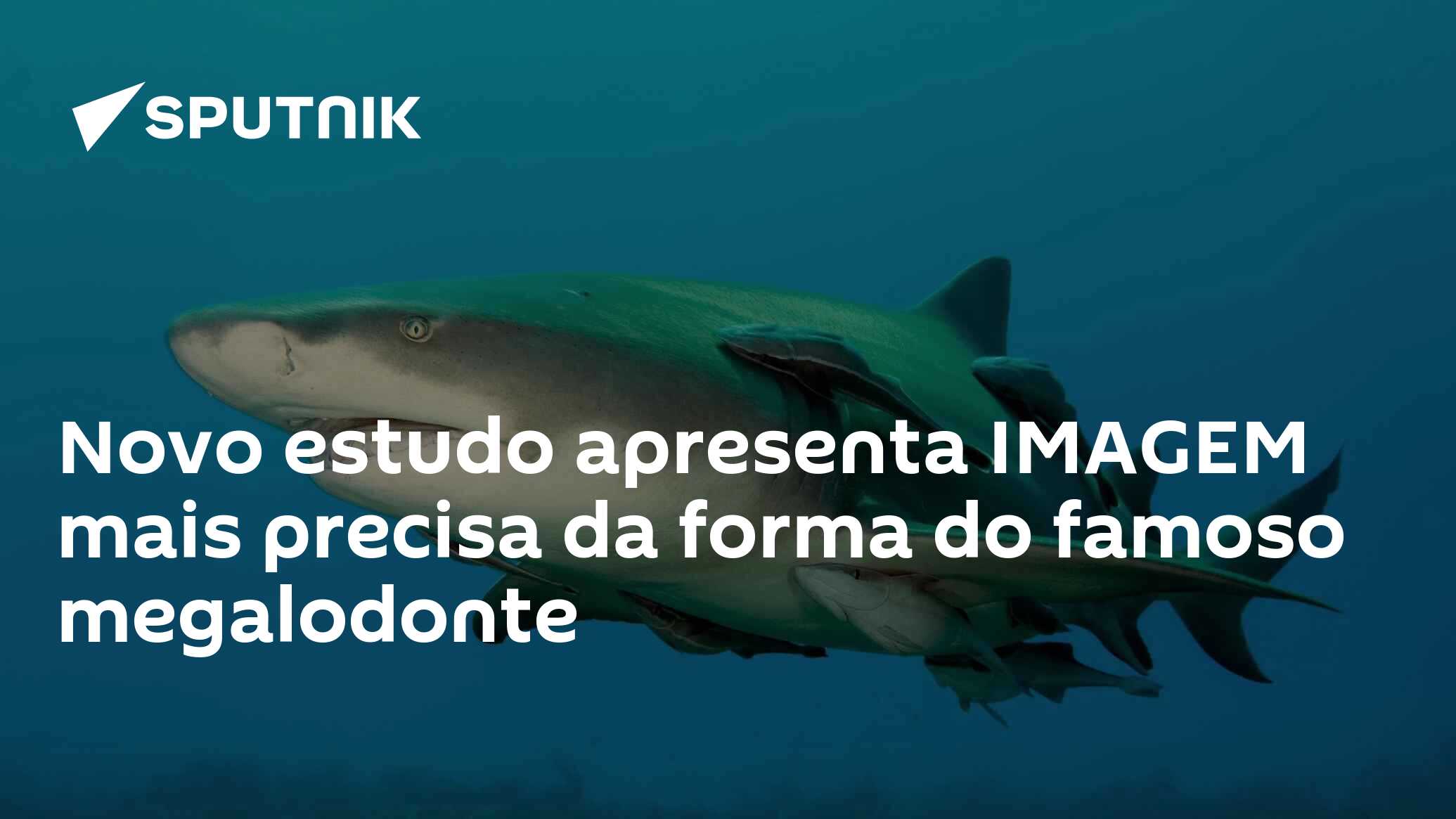 Novo estudo apresenta IMAGEM mais precisa da forma do famoso megalodonte