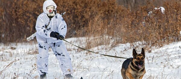 Soldado russo no Ártico - Sputnik Brasil