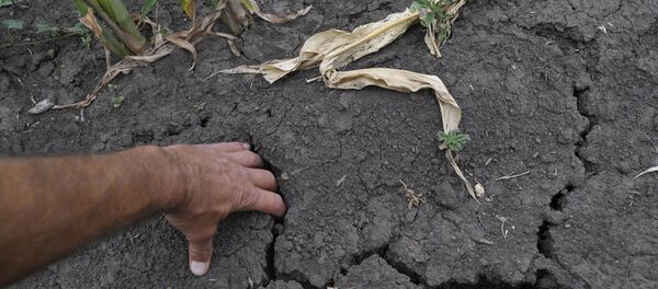 A seca - Sputnik Brasil