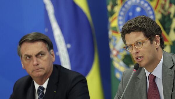 Ministro do Meio Ambiente, Ricardo Salles, é um dos que está com Bolsonaro desde o início do governo - Sputnik Brasil