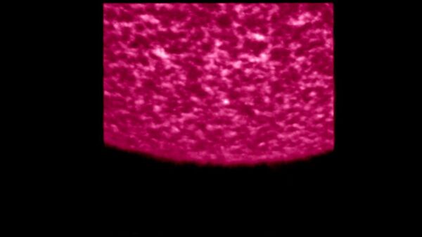 Missão espacial revela imagens inéditas do Sol, com 'fogueiras' na superfície (FOTOS, VÍDEO) Missão espacial revela imagens inéditas do Sol, com 'fogueiras' na superfície (FOTOS, VÍDEO) - Sputnik Brasil