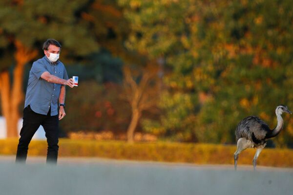 Coronavírus já matou mais de 87 mil pessoas no Brasil - Sputnik Brasil