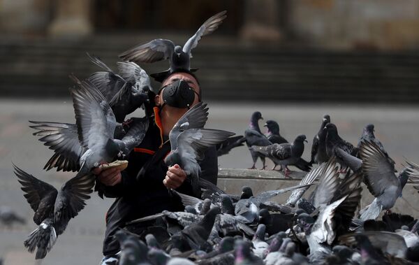 Homem alimenta pombos em Bogotá, Colômbia, se precavendo da COVID-19 ao usar uma máscara - Sputnik Brasil