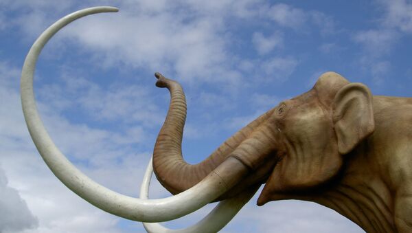 Representação artística de mamute - Sputnik Brasil