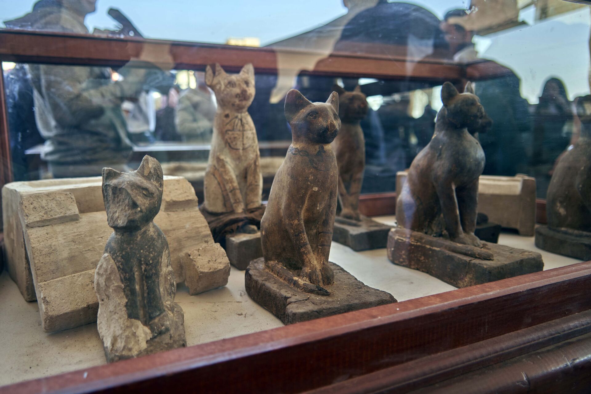 Coleção de estátuas de gatos do antigo Egito exibidas em Sacará
