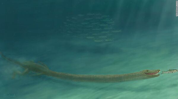 Pesquisadores reconstroem animal pré-histórico similar a crocodilo cruzado com girafa (FOTO) Pesquisadores reconstroem animal pré-histórico similar a crocodilo cruzado com girafa (FOTO) - Sputnik Brasil