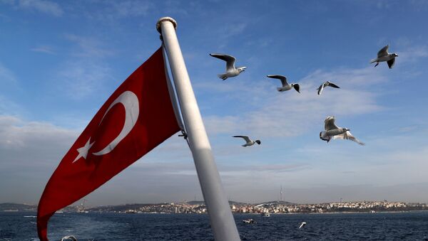 Bandeira turca voa em uma balsa de passageiros - Sputnik Brasil