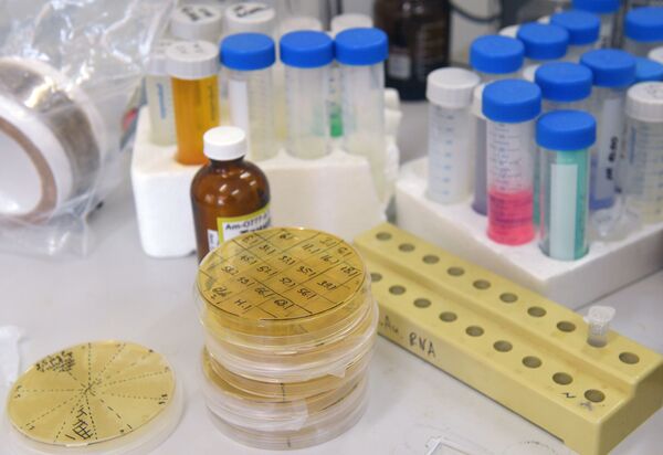 Imunidade de rebanho não será salvação contra COVID-19 sem vacina, alerta OMS - Sputnik Brasil