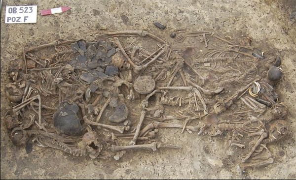 Crânios esmagados de 5 mil anos são encontrados na Polônia (FOTO) - Sputnik Brasil
