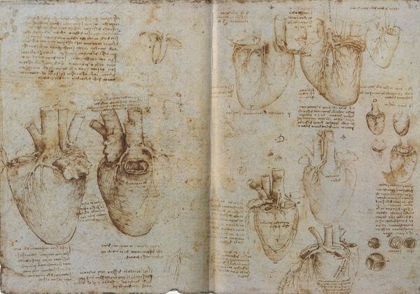 Esboço de Leonardo da Vinci de 500 anos pode ajudar a compreender nosso coração, diz estudo - Sputnik Brasil