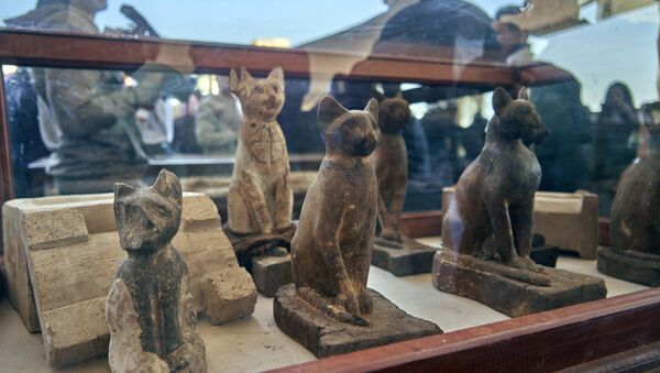 Estátuas de gatos no Egito - Sputnik Brasil