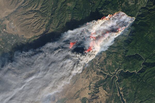Incêndio florestal na cidade de Paradise, na Califórnia
 - Sputnik Brasil