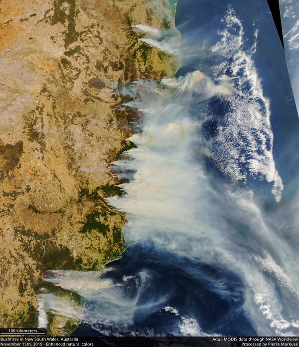Incêndios florestais na Austrália
 - Sputnik Brasil