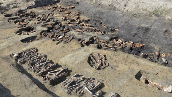 Escavação revela mais de 1.500 tumbas em Osaka - Sputnik Brasil