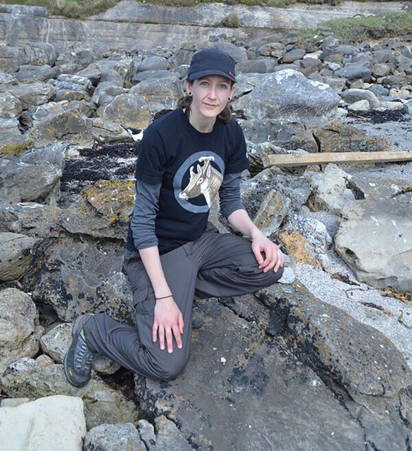 Raro fóssil de dinossauro de 166 milhões é encontrado na Escócia (FOTOS) - Sputnik Brasil