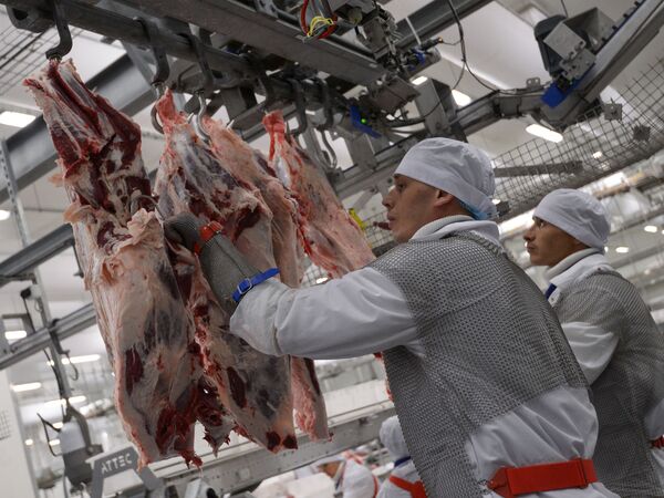 EXÉRCITO 2020: APEX Brasil quer novos mercados para indústria de armamentos brasileira - Sputnik Brasil