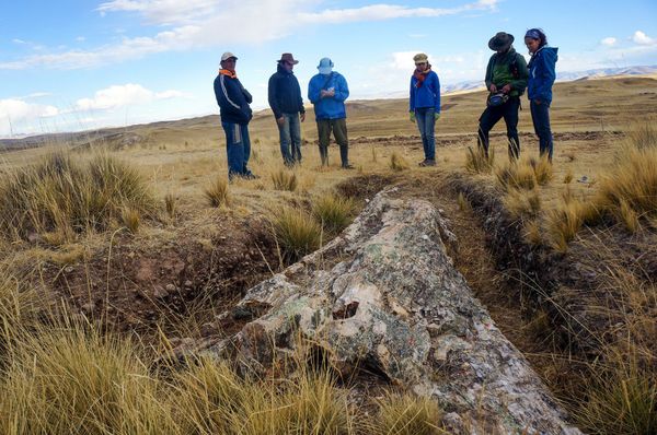 Fóssil de árvore encontrado no Peru guarda segredos sobre clima de há 10 milhões de anos (FOTO) - Sputnik Brasil