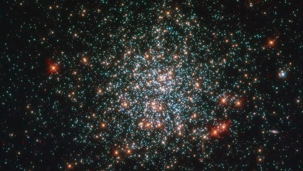 Aglomerado de estrelas NGC 2203 visto a partir do telescópio espacial Hubble Aglomerado de estrelas NGC 2203 visto a partir do telescópio espacial Hubble - Sputnik Brasil
