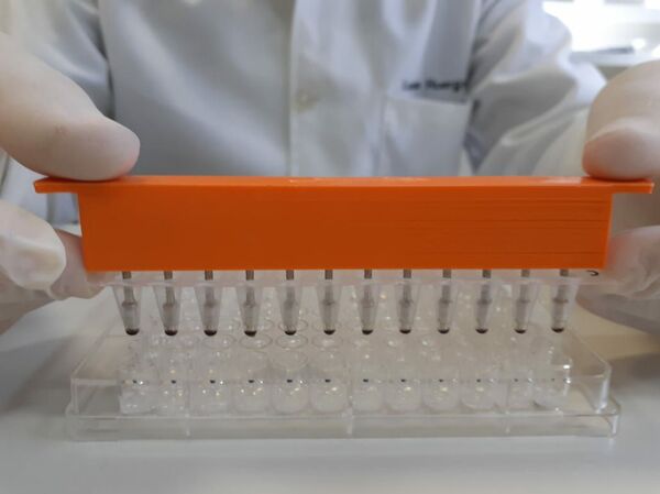 COVID-19: UFPR cria teste 'mais rápido' e que pode ser usado para outras doenças, revela biólogo - Sputnik Brasil