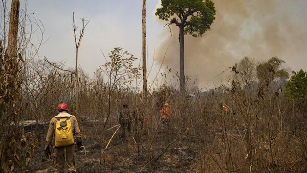 No estado brasileiro do Pará, perto da cidade de Novo Progresso, bombeiros e soldados trabalham no controle de um incêndio em área desmatada por pecuaristas, em 23 de agosto de 2020. - Sputnik Brasil