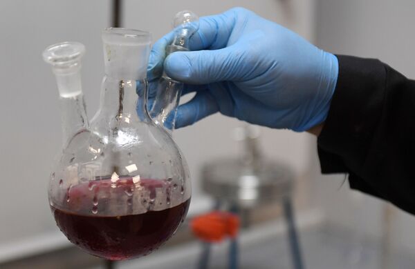 Estudo revela quanto tempo dura a imunidade de alta proteção após recuperação da COVID-19 - Sputnik Brasil