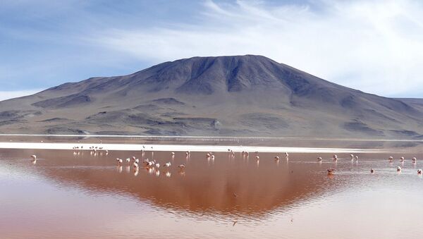 Laguna Colorada na Bolívia - Sputnik Brasil