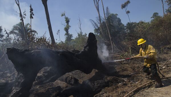 Membros da brigada de incêndio do Instituto Brasileiro do Meio Ambiente e dos Recursos Naturais Renováveis (Ibama) tentam controlar fogos de queimada na floresta Amazônica, no município de Novo Progresso, no estado do Pará - Sputnik Brasil