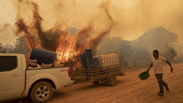Voluntário tentando apagar as chamas na Transpantaneira, no Pantanal, 11 de setembro de 2020 - Sputnik Brasil