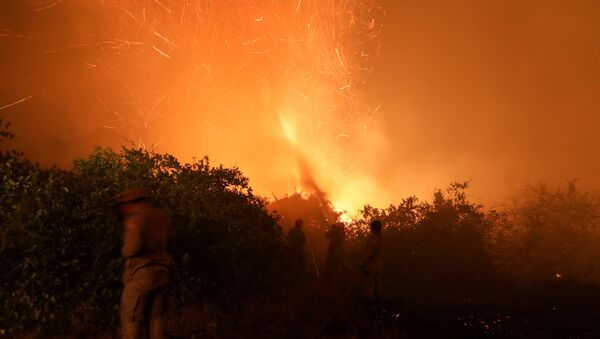 Bombeiros tentam apagar fogo no Pantanal. - Sputnik Brasil