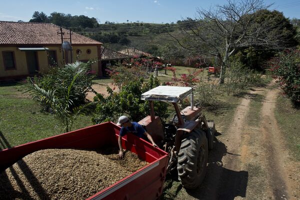 Brasil não tem mais espaço para estocar café, revela Bloomberg - Sputnik Brasil