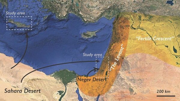 Fator inesperado pode estar na base da existência de antiga civilização - Sputnik Brasil