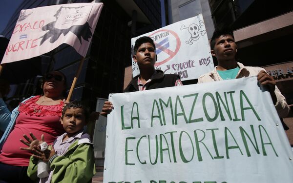 Ambientalista: presença ruralista no Parlamento Amazônico é motivo de 'grande preocupação' - Sputnik Brasil