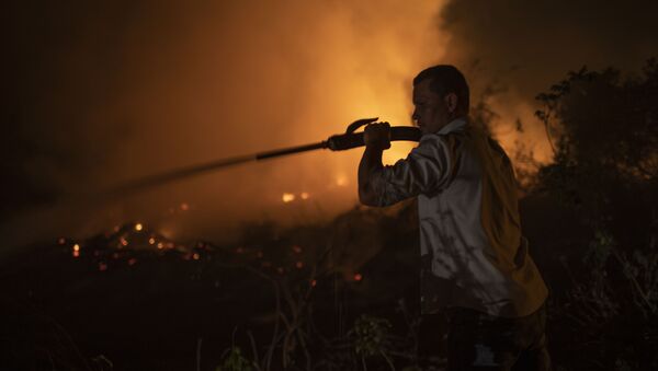 Voluntário combate chamas no Pantanal, no Mato Grosso, 13 de setembro de 2020 - Sputnik Brasil