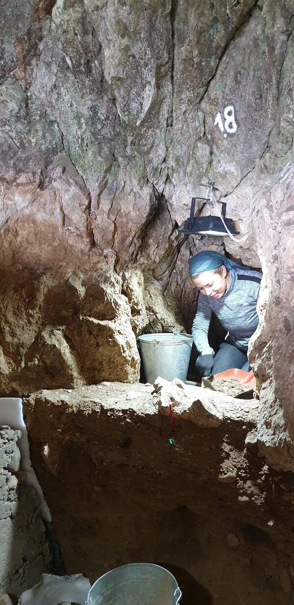Arqueólogos encontraram dentes de neandertais na Sibéria (FOTOS) Arqueólogos encontraram dentes de neandertais na Sibéria (FOTOS) - Sputnik Brasil
