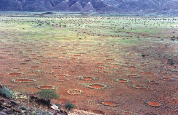 Círculos misteriosos em deserto são explicados por teoria de Turing de 70 anos (FOTO) - Sputnik Brasil