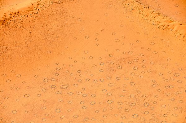 Círculos misteriosos em deserto são explicados por teoria de Turing de 70 anos (FOTO) - Sputnik Brasil