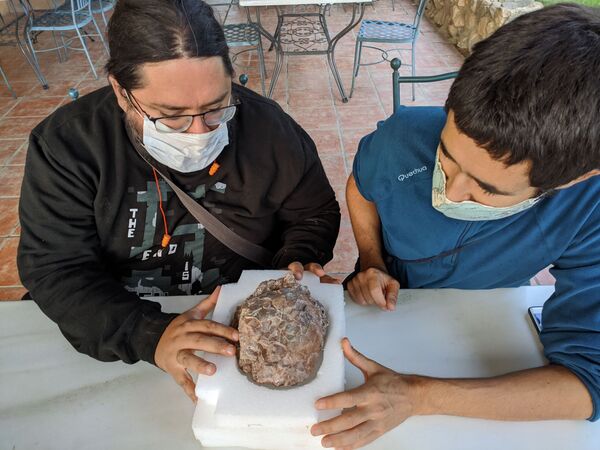 Grande depósito de ovos de dinossauro é descoberto na Espanha (FOTOS) Grande depósito de ovos de dinossauro é descoberto na Espanha (FOTOS) - Sputnik Brasil