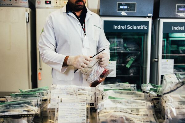 Analista: esclarecimento de homicídios no Brasil é afetado por falta de dados e escolhas políticas - Sputnik Brasil