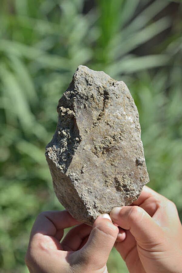 Onças, machados e mais: examinados vestígios de 'paraíso' de 1 milhão de anos na Espanha (FOTOS) - Sputnik Brasil