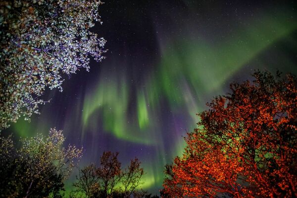 Registro da aurora boreal próximo ao rio Ura, na região russa de Murmansk - Sputnik Brasil