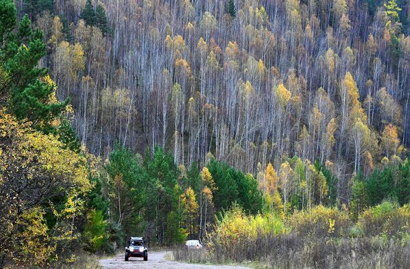 Veículo quadriciclo passa por estrada que atravessa a taiga na Sibéria - Sputnik Brasil