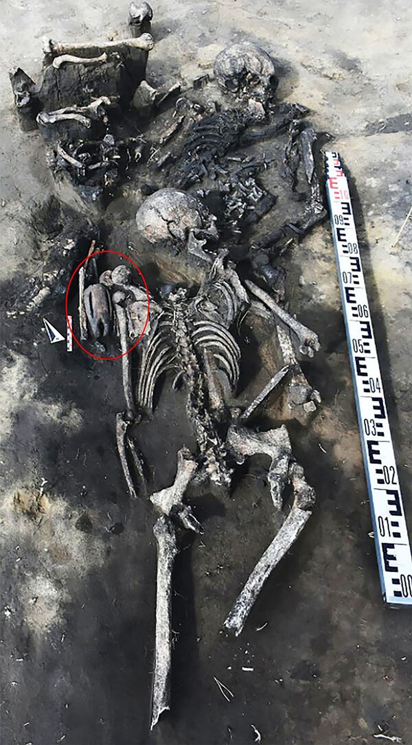 Arqueólogos descobrem túmulo de 5.000 anos com pessoas decapitadas na Sibéria Ocidental (FOTOS) - Sputnik Brasil