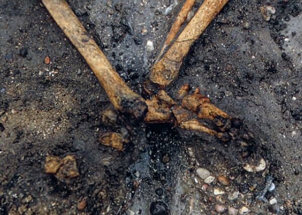 Nova importante evidência de famoso túmulo viking é descoberta na Dinamarca - Sputnik Brasil