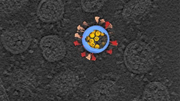 Imagem de uma criotomografia eletrônica SARS-CoV-2, em cinza, com uma representação artística de um vírus - Sputnik Brasil
