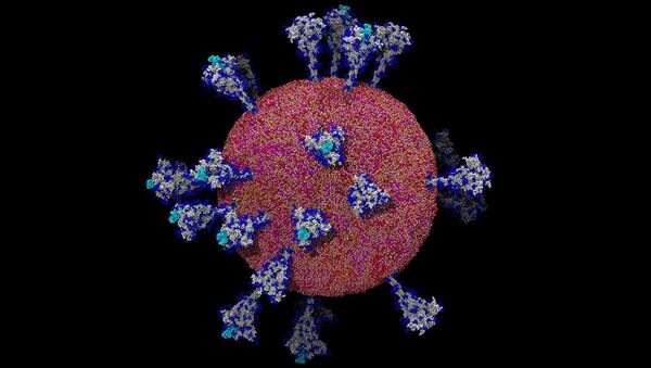 Um modelo de átomo por átomo do coronavírus  - Sputnik Brasil
