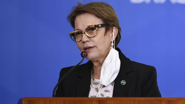 Tereza Cristina, ministra da Agricultura. - Sputnik Brasil