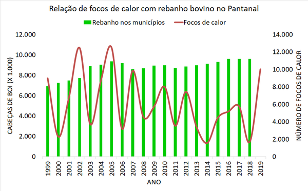 Ambientalista rebate tese do governo: 'Não é o boi que vai salvar o Pantanal' - Sputnik Brasil